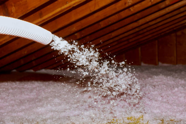 Best Specialized Insulation Services in Queen Anne, MD