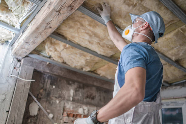 Best Energy Efficiency Insulation in Queen Anne, MD