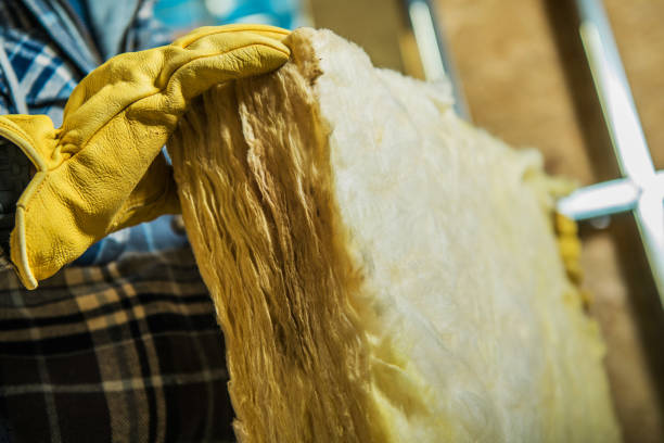 Best DIY Insulation Kits and Guidance in Queen Anne, MD