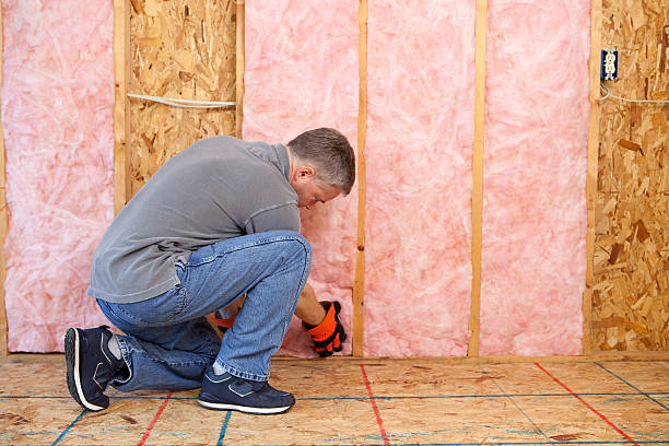 Best Spray Foam Insulation in Queen Anne, MD