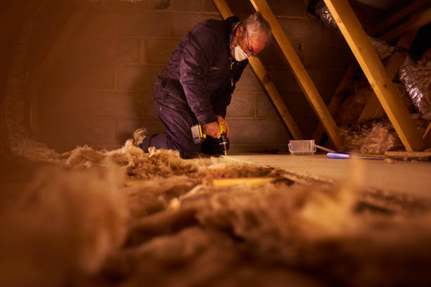 Best Spray Foam Insulation in Queen Anne, MD